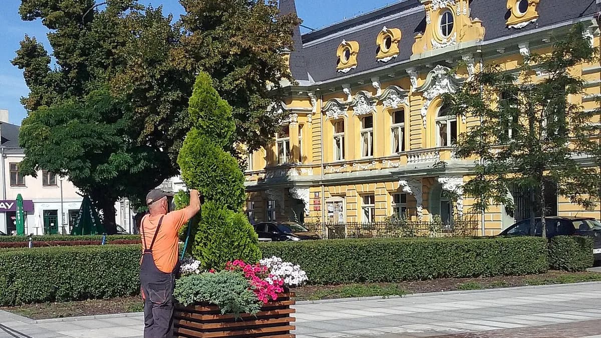 A landscaping worker completing hands-on outdoor work